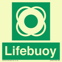 lifebuoy-with-symbol~